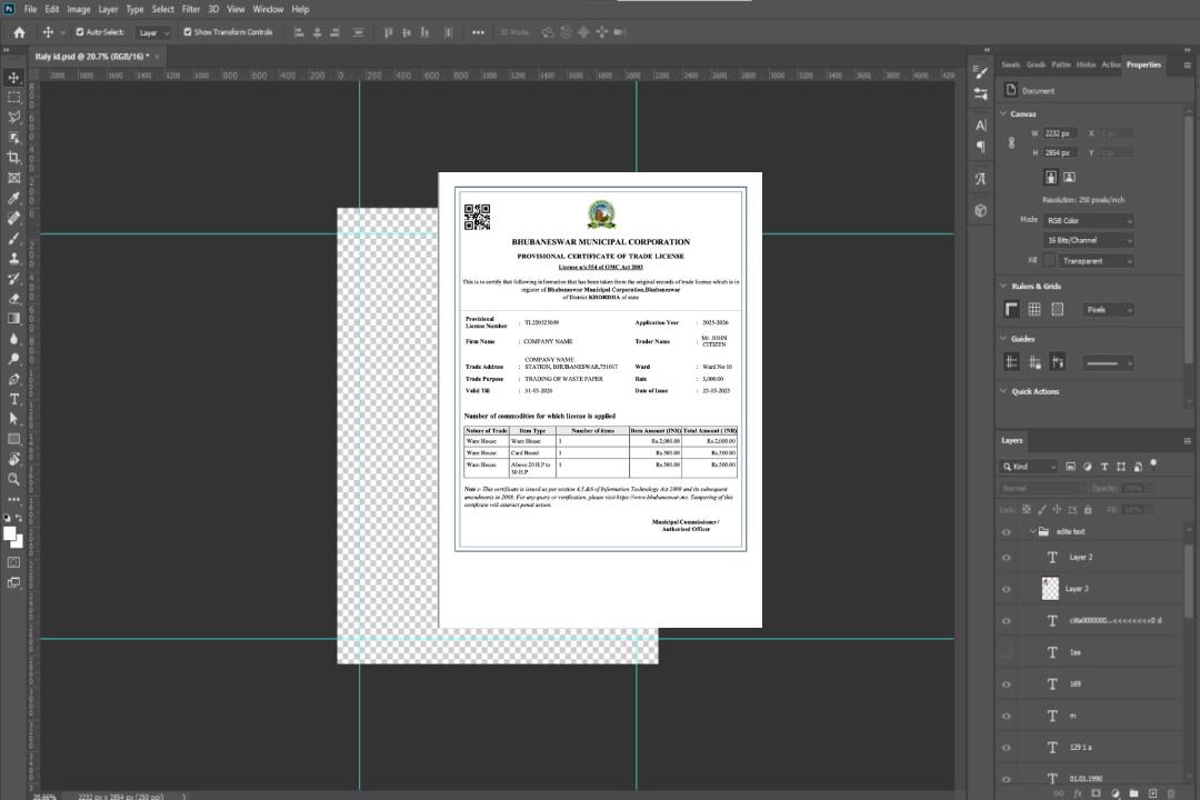 Inde Bhubaneswar certificat provisoire de licence commerciale modèle Word et PDF template